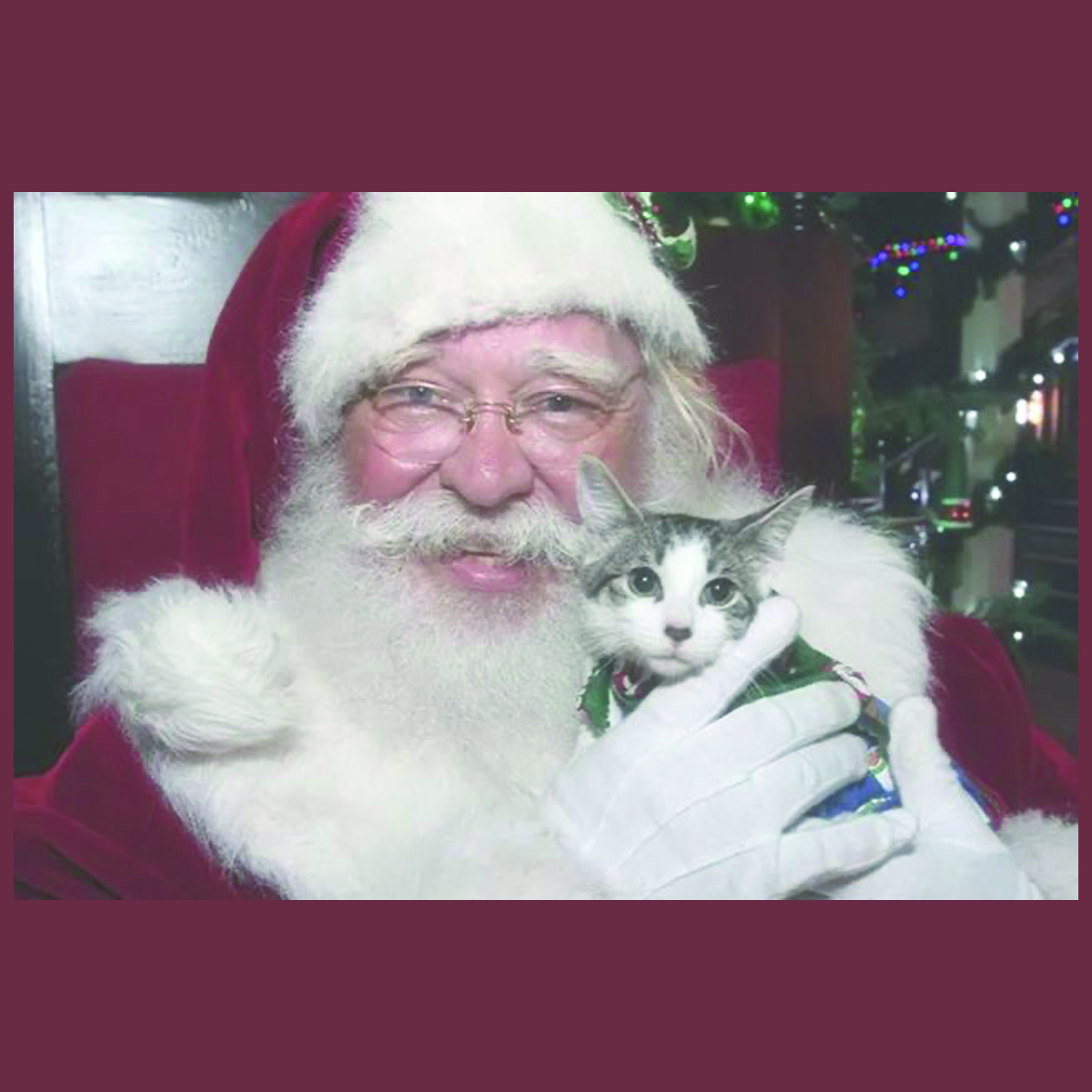 Pet Pictures with Santa